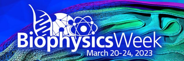 Biophysics week in Bucharest